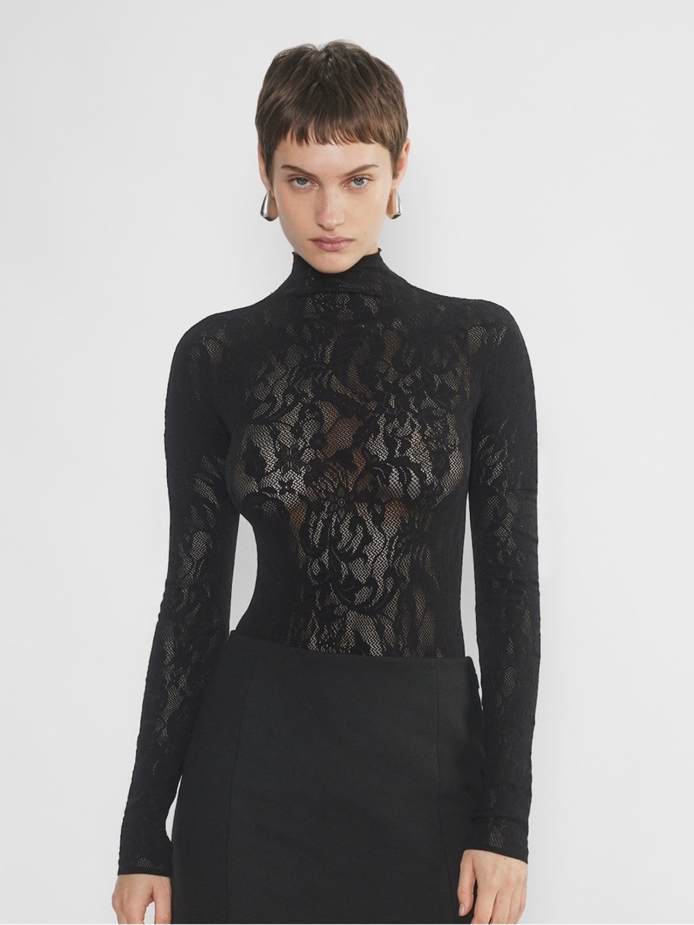 Ten Sheer Black Stretch Lace Turtleneck Long-Sleeve Top (Aritiza)